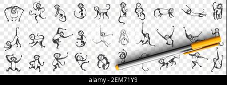 Monkeys enjoying life doodle set. Collection of hand drawn monkey animals primate playing hanging on branches and trees eating sleeping feeling happy for children isolated on transparent background Stock Vector