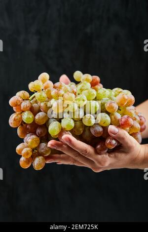 Fresh red grapes in hand on black background Stock Photo