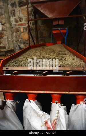 Coffee sorting machinery in the Huye coffee region of Rwanda. Stock Photo