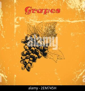 Hand drawn vintage grapes isolated on yellow distressed grunge background. Stock Vector