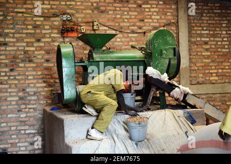 Rwandan workers operating coffee sorting machinery in the Huye coffee region of Rwanda. Stock Photo