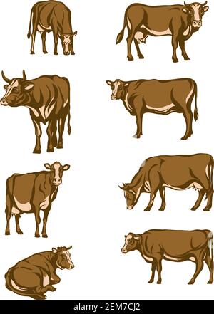 Cow, vector, color, portrait, silhouette, animals, design, cattle, bull, collection, animal, white, livestock, icon, background, logo, set, symbol Stock Vector