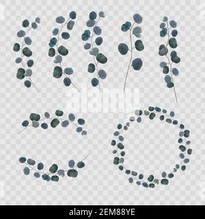 Collection set of realistic natural branch and frames from leaves eucalyptus isolated on transparent background. Vector Illustration Stock Vector