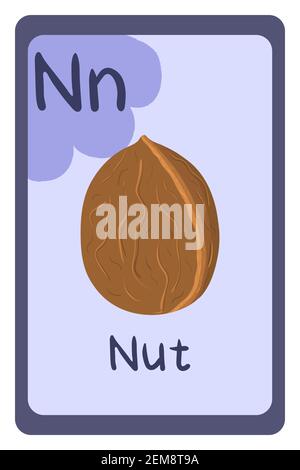 Colorful abc education flash card, Letter N - nut in shell, walnut. Alphabet vector illustration with food, fruits and vegetables. School, study, learning concept. Stock Vector