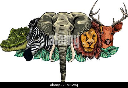 Cartoon african wild animals on white background Stock Vector