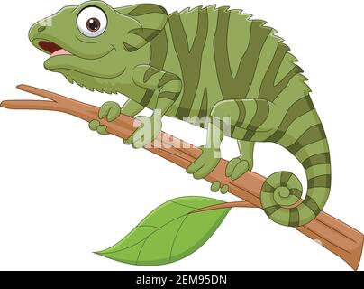 Cartoon green chameleon on tree branch Stock Vector