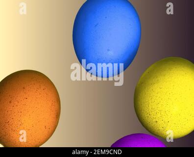 Abstract image of Easter, four incomplete eggs on a gradient background with soft shadows, concept Stock Photo