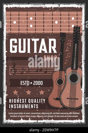 Guitar shop music instruments and professional musician equipment