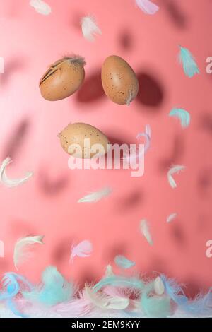Multi-colored feathers and chicken eggs on a pink background. Levitation effect. Concept, easter. High quality photo Stock Photo