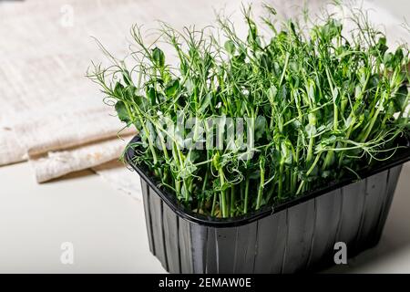 Microgreens of green peas in a plastic container. Super food. Healthy and tasty food. Copy space. Stock Photo