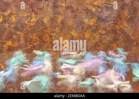 multicolored chicken feathers on a brown background. Concept, Easter, congratulation, levitation, There is a place for text. High quality photo Stock Photo