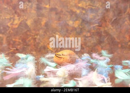 multicolored chicken feathers and an egg on a brown background. Concept, Easter, congratulation, levitation, There is a place for text. High quality photo Stock Photo