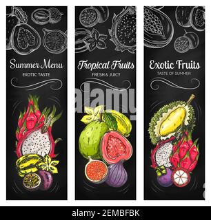 Exotic tropical fruit blackboard banner set. Fresh papaya, carambola
