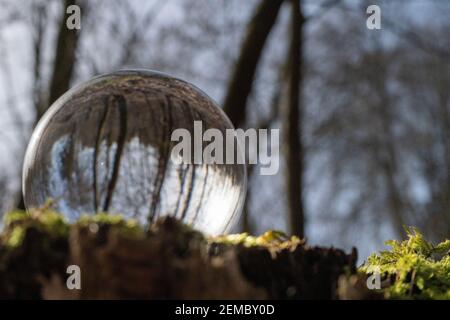 Glass ball / lens ball in the forest on a stump in the sunlight with ...