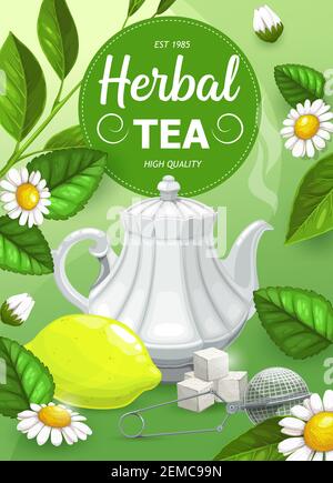 Herbal tea with chamomile and mint leaves flavor, vector hot drinks and herbs. Chamomile and mint herbal green or black tea in porcelain teapot with s Stock Vector