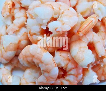 Plate of red prawns on ice Stock Photo