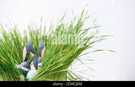 Cute creative photo with easter eggs, some eggs as the Easter Bunny Stock Photo