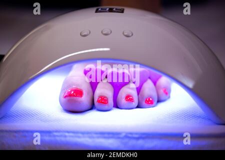Nail curing lamp, drying the nail polisher on the toe nails, pedicure photo polymerization Stock Photo