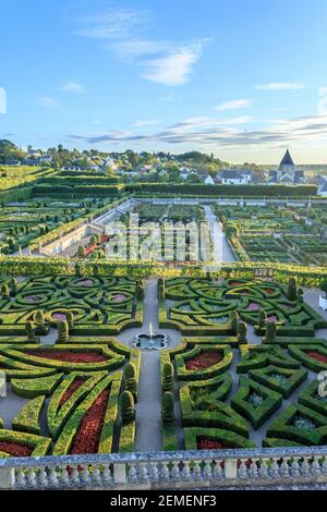 France, Indre et Loire, Loire valley listed as World Heritage by UNESCO, the castle and the gardens of Villandry, the ornamental garden with box hedge Stock Photo