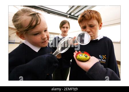 Howe Dell primary school in Hatfield school is rated by Ofsted as outstanding and eco-friendly. head is Debra Masseyphotograph by David Sandison The Independent Stock Photo