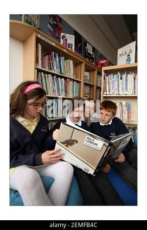 Howe Dell primary school in Hatfield school is rated by Ofsted as outstanding and eco-friendly. head is Debra Masseyphotograph by David Sandison The Independent Stock Photo