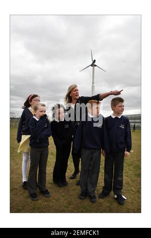 Howe Dell primary school in Hatfield school is rated by Ofsted as outstanding and eco-friendly. head is Debra Masseyphotograph by David Sandison The Independent Stock Photo