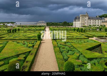 France, Indre et Loire, Loire valley listed as World Heritage by UNESCO, the castle and the gardens of Villandry, the ornamental garden with yew and b Stock Photo
