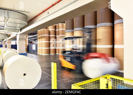Storage Of Paper Rolls In A Large Print Shop Stock Photo - Download Image  Now - Business, Construction Industry, Delivering - iStock