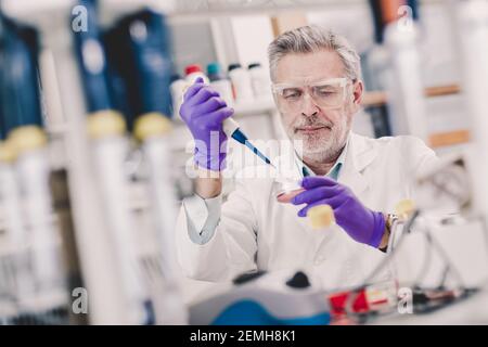 Life scientist researching in the laboratory. Stock Photo
