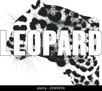 Leopard isolated on a white background, vector Illustration. Wild animal distressed texture. Grunge style. Stock Vector