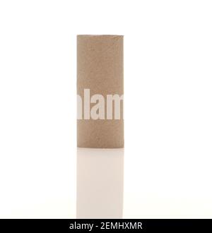Cardboard toilet rolls inner tubes on white background with a reflection. Stock Photo