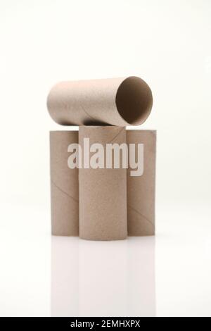 Cardboard toilet rolls inner tubes on white background with a reflection. Stock Photo