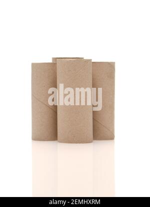 Cardboard toilet rolls inner tubes on white background with a reflection. Stock Photo