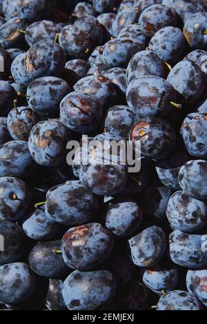 Bunch of fresh blue plums at the market on a sunny day. Healthy fruits. Vertical photo. Farmers products. Stock Photo