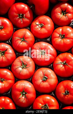 Full frame shot of fresh organic tomatoes Stock Photo
