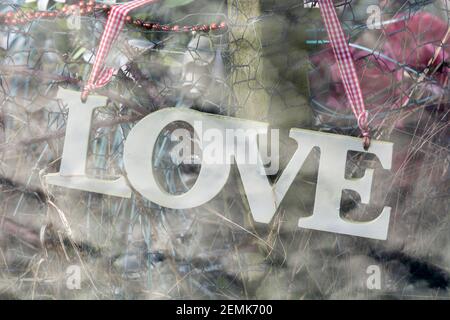 Love Stock Photo