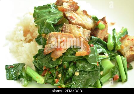 stir fried Chinese kale with crispy pork and rice on plate Stock Photo