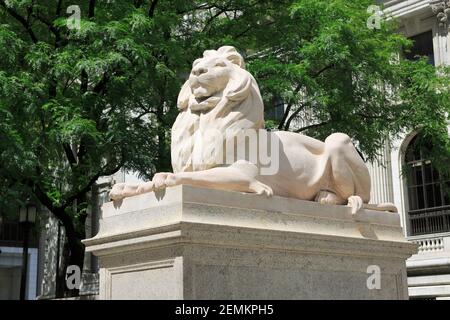Lion Statue, New York Public Library, Stephen A. Schwarzman building, 5th Avenue, Midtown Manhattan, New York City, New York USA Stock Photo