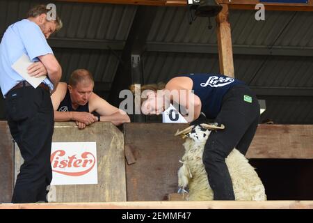 Female farmer, Katie Reid, Female sheep shearing at Royal Highland Show, Scotland, UK Stock Photo