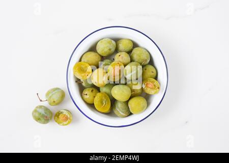 Prunus domestica Reine Claude. Greengages in a bowl. Stock Photo