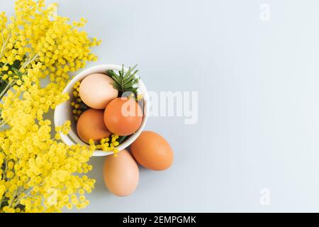 Eggs in bowl of different shades in row on blue background with yellow flowers. Copy space. Top view. Stock Photo