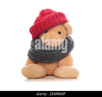 Teddy bear in winter clothes isolated on white background. Stock Photo