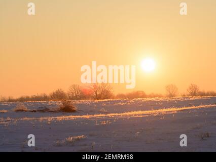 Sun rising over a snowy pasture on a very cold winter morning, with a small flare from the sun, and focus on trees on hilltop Stock Photo