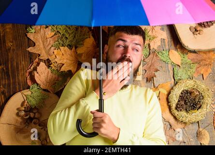 Fall atmosphere attributes. Hipster with beard mustache expect rainy weather hold colorful umbrella. Man bearded sleepy lay on wooden background with orange leaves top view. Fall and autumn weather. Stock Photo