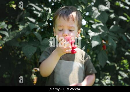 Small boy eating raspberry dressed on his toes in summer garden Stock Photo
