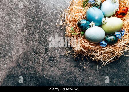 Homemade naturally dyed eggs in pastel colors Stock Photo