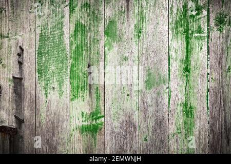 Green and grey wooden grunge board closeup. Natural texture. Can be used like nature background Stock Photo
