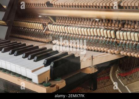 The inside of a piano is a  a feat of engineering, the string frame holds 30 tonnes of tension, created by around 230 strings making up 88 pitches. Th Stock Photo