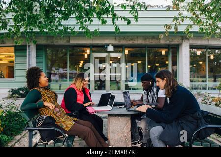Young male and female student studying in campus Stock Photo