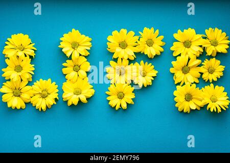 word life laid out from bright yellow natural flowers on solid blue background. layout Floral frame made of daisies. pattern of plant. spring, summer Stock Photo